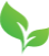 Icon of a green leaf